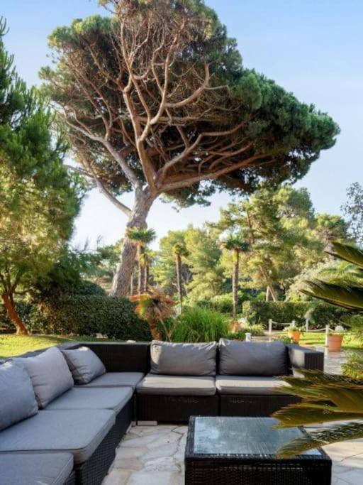 Superbe Appartement 50M De La Plage En Bord De Mer Hyeres Exterior photo
